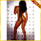 �L���b�g�I�[�i�C���e�C�����`