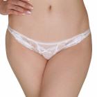 �t�����[���[�X���V�[�X���[���n�|�P�b�g�t��T�o�b�N