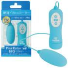 sN[^[ Type-R BIG CC u[